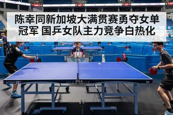 table tennis match action