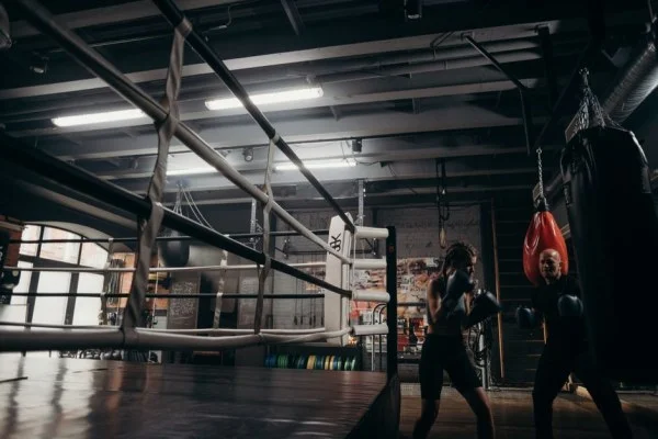 boxer training gym